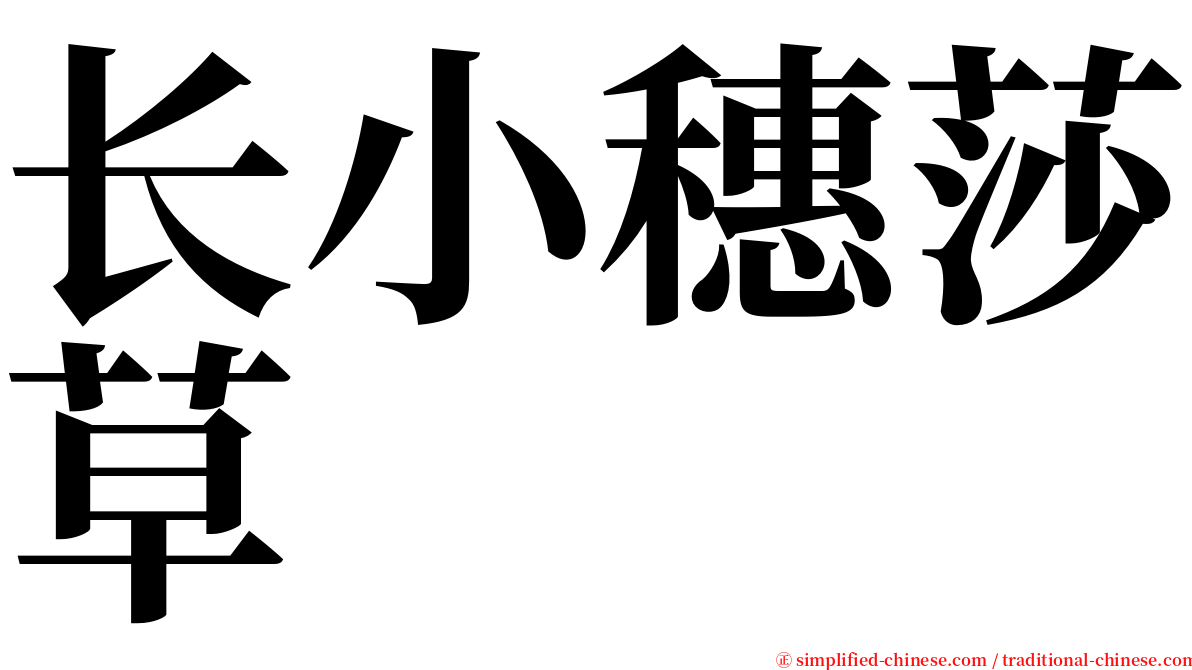 长小穗莎草 serif font