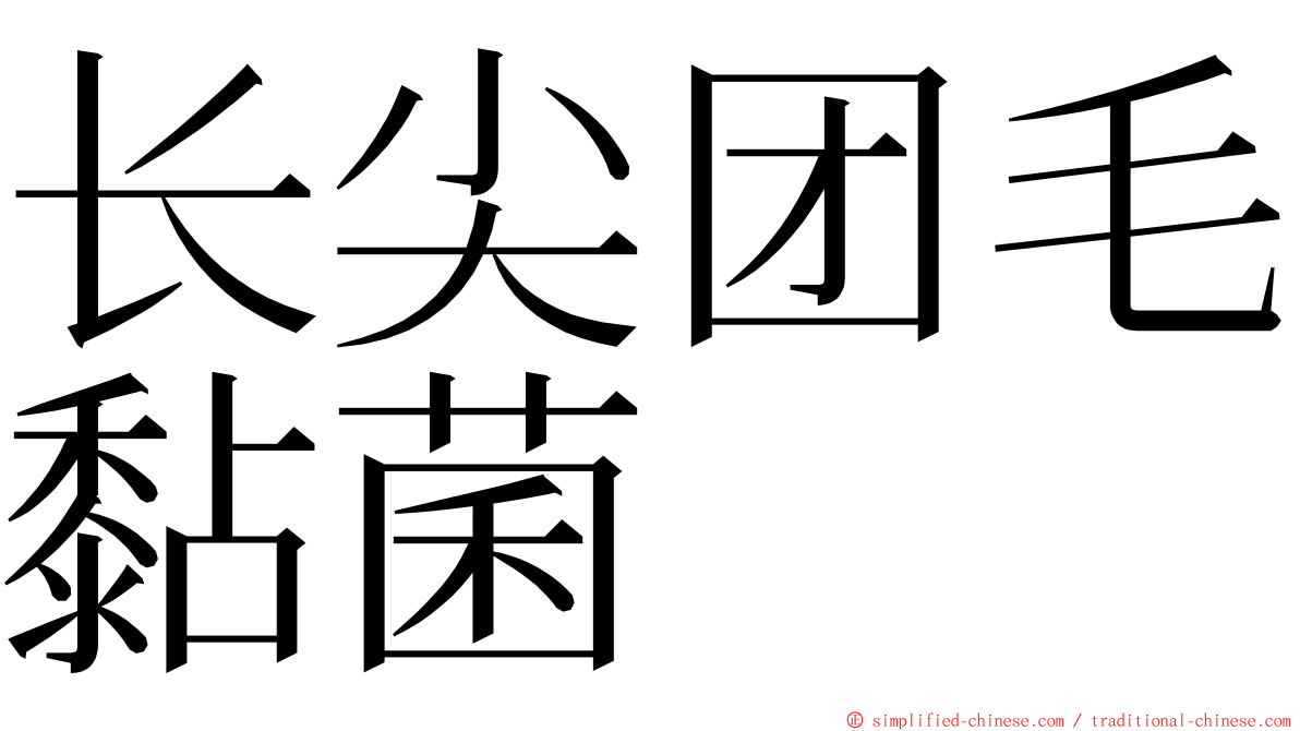 长尖团毛黏菌 ming font