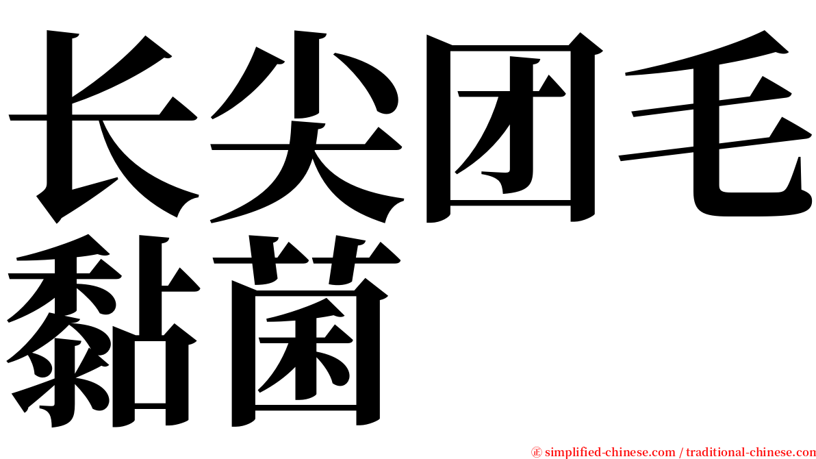 长尖团毛黏菌 serif font