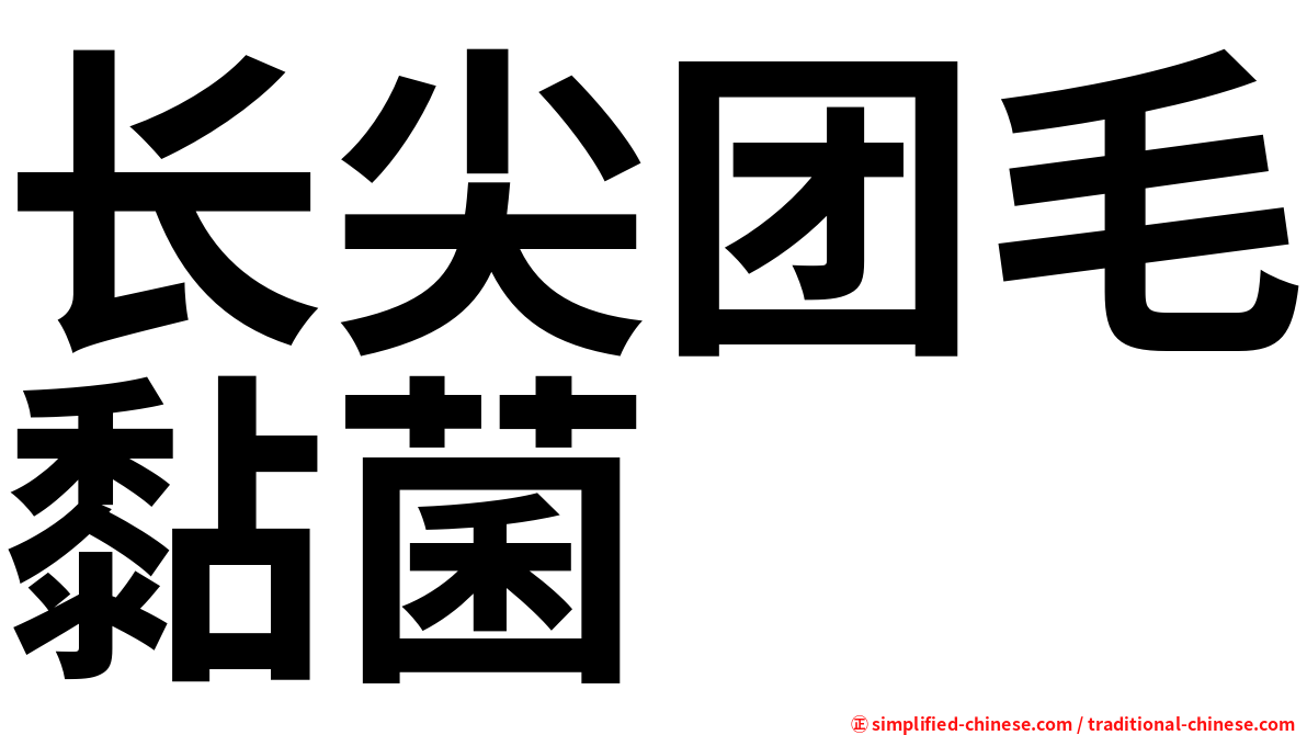 长尖团毛黏菌