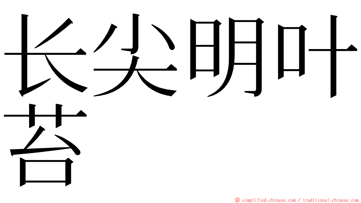 长尖明叶苔 ming font