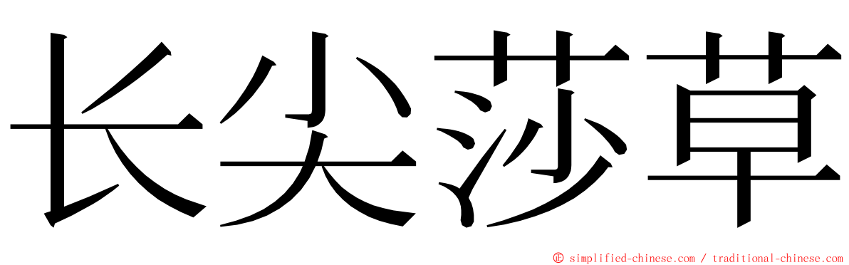 长尖莎草 ming font