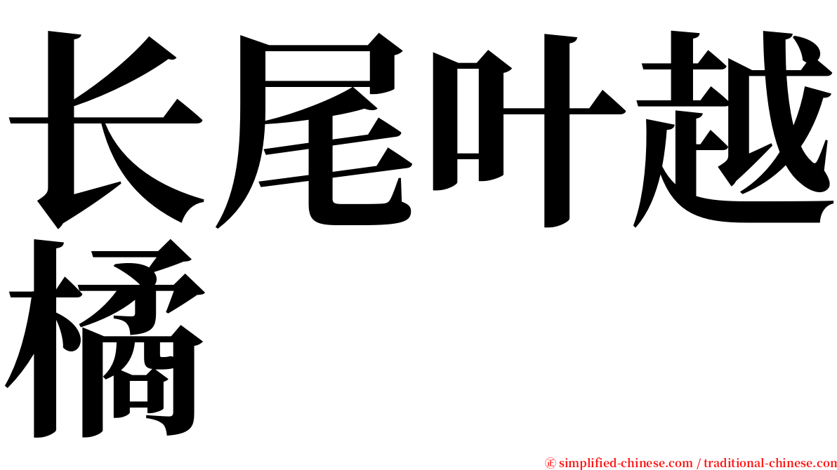 长尾叶越橘 serif font