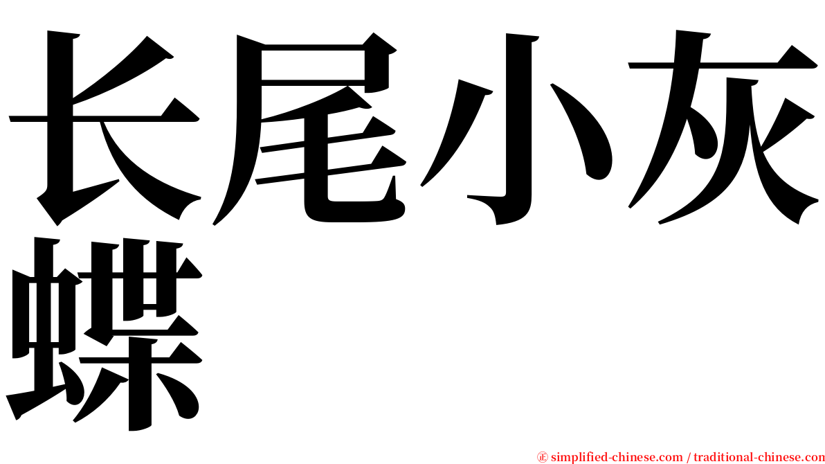 长尾小灰蝶 serif font