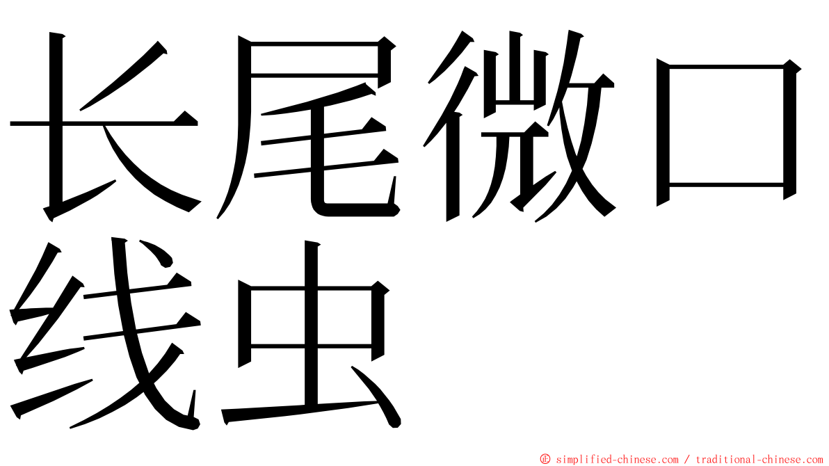 长尾微口线虫 ming font