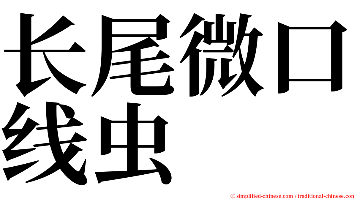 长尾微口线虫 serif font