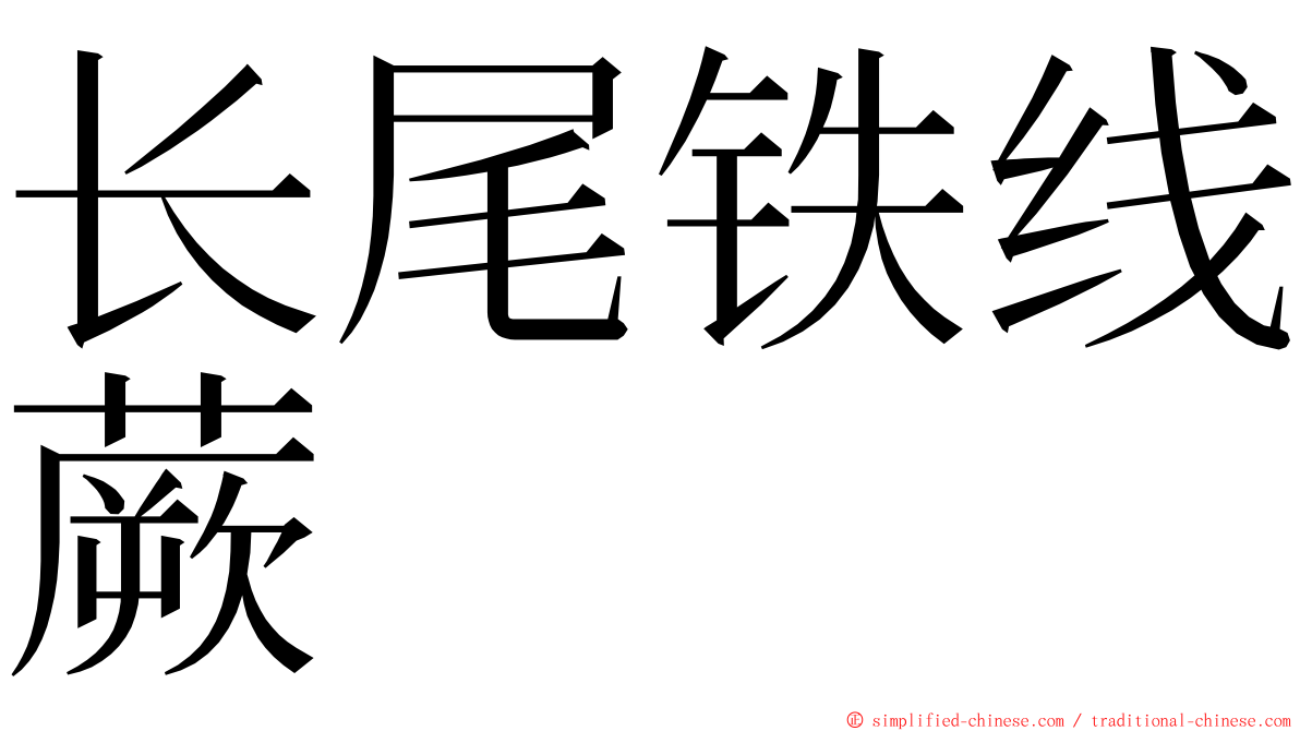 长尾铁线蕨 ming font