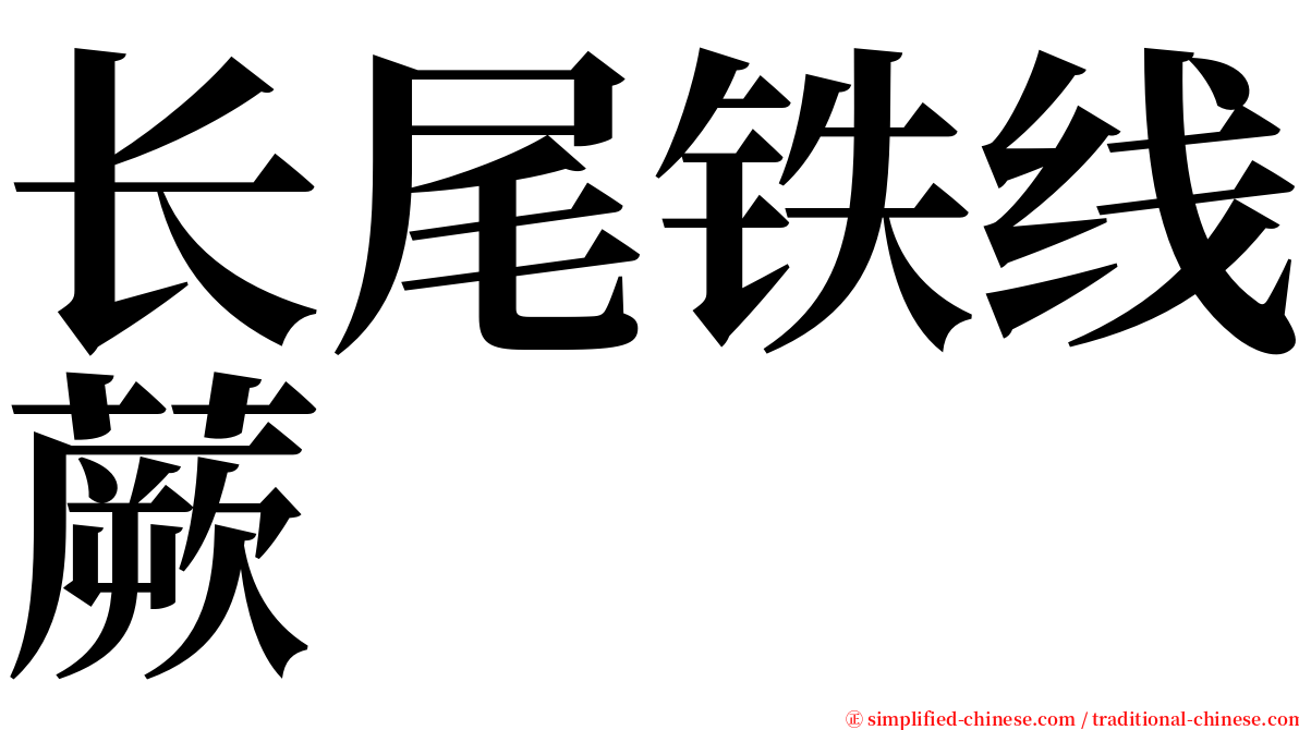 长尾铁线蕨 serif font