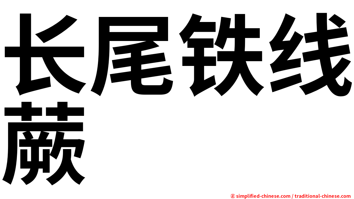 长尾铁线蕨