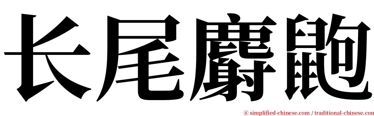 长尾麝鼩 serif font