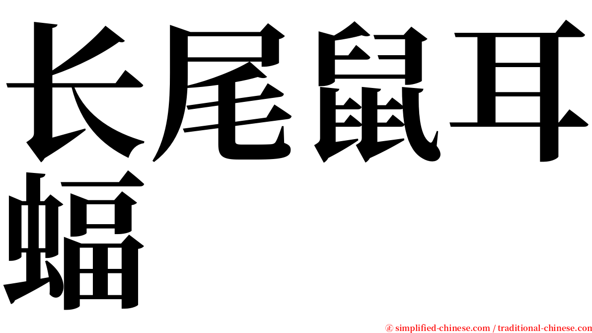 长尾鼠耳蝠 serif font