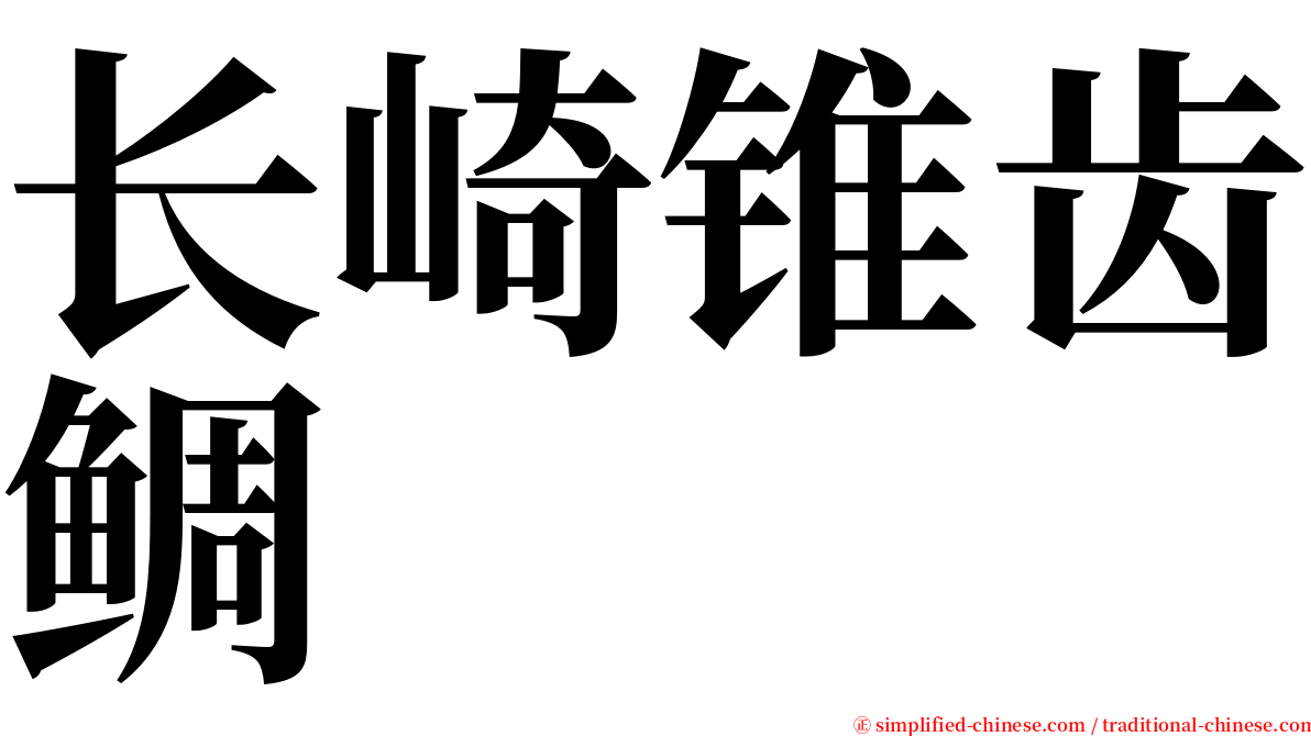 长崎锥齿鲷 serif font