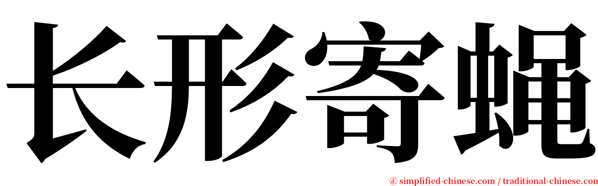 长形寄蝇 serif font