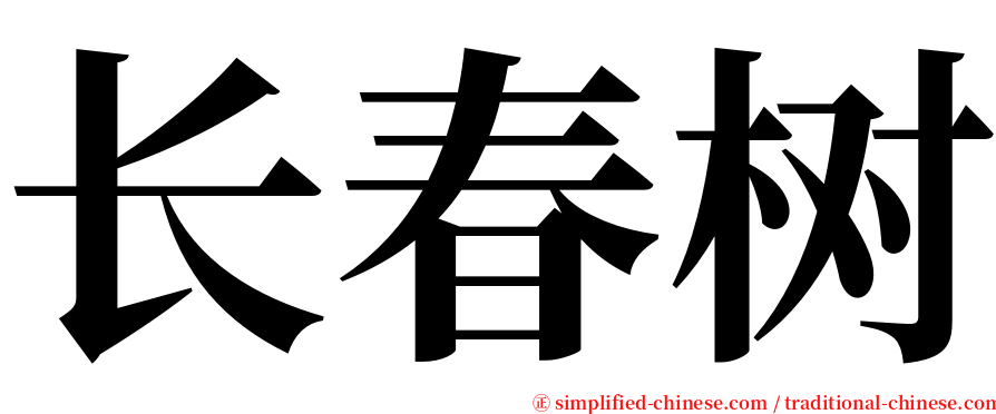 长春树 serif font