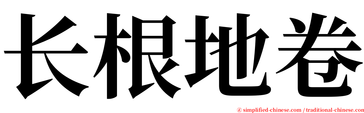 长根地卷 serif font