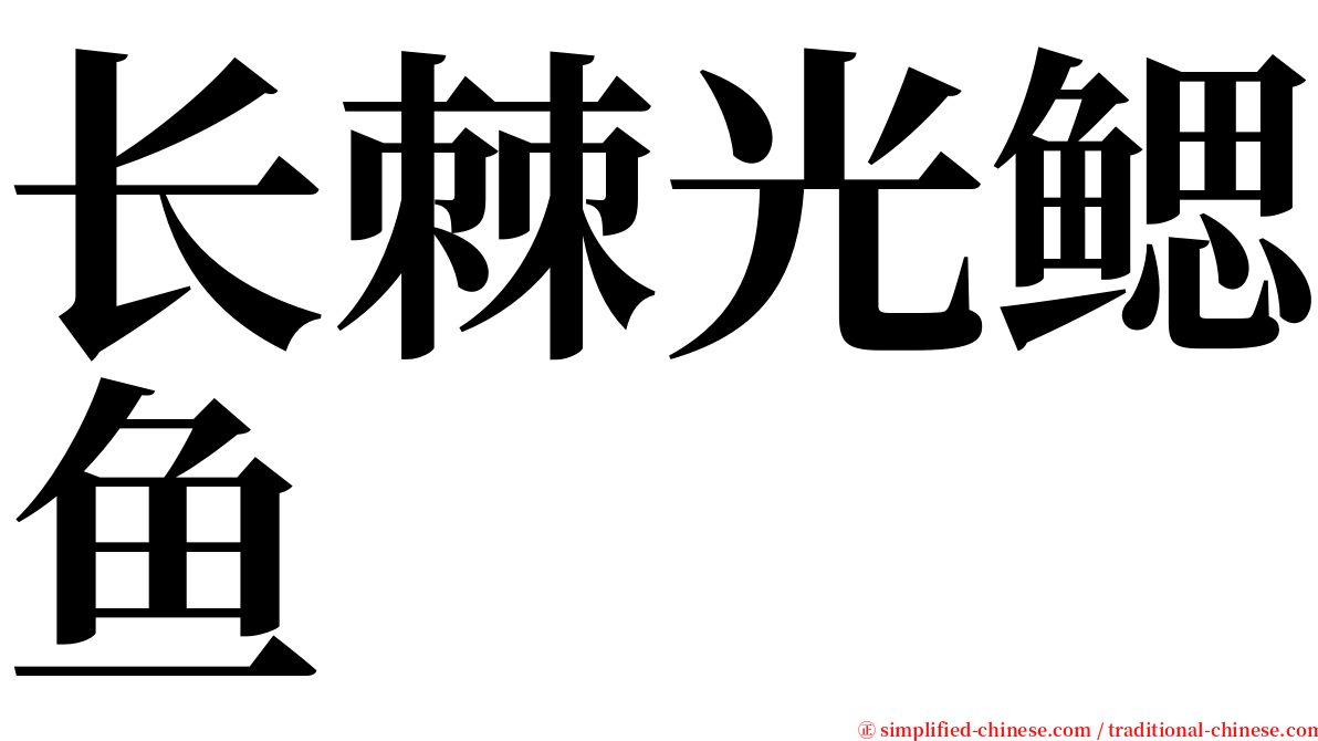 长棘光鳃鱼 serif font