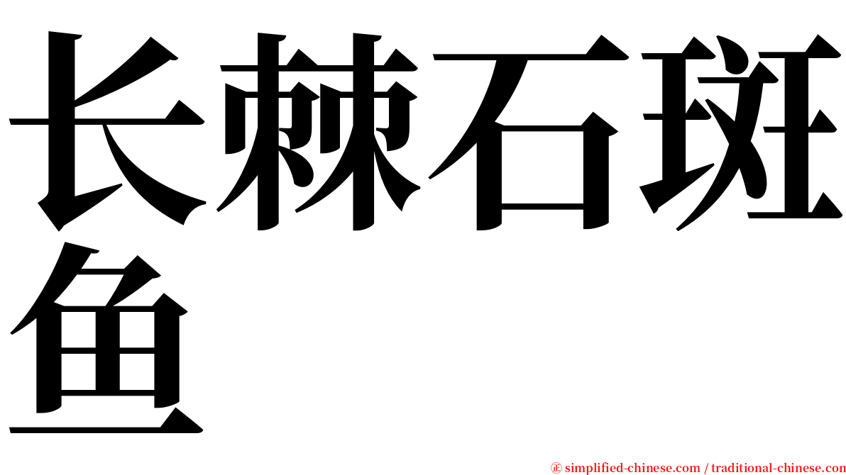 长棘石斑鱼 serif font