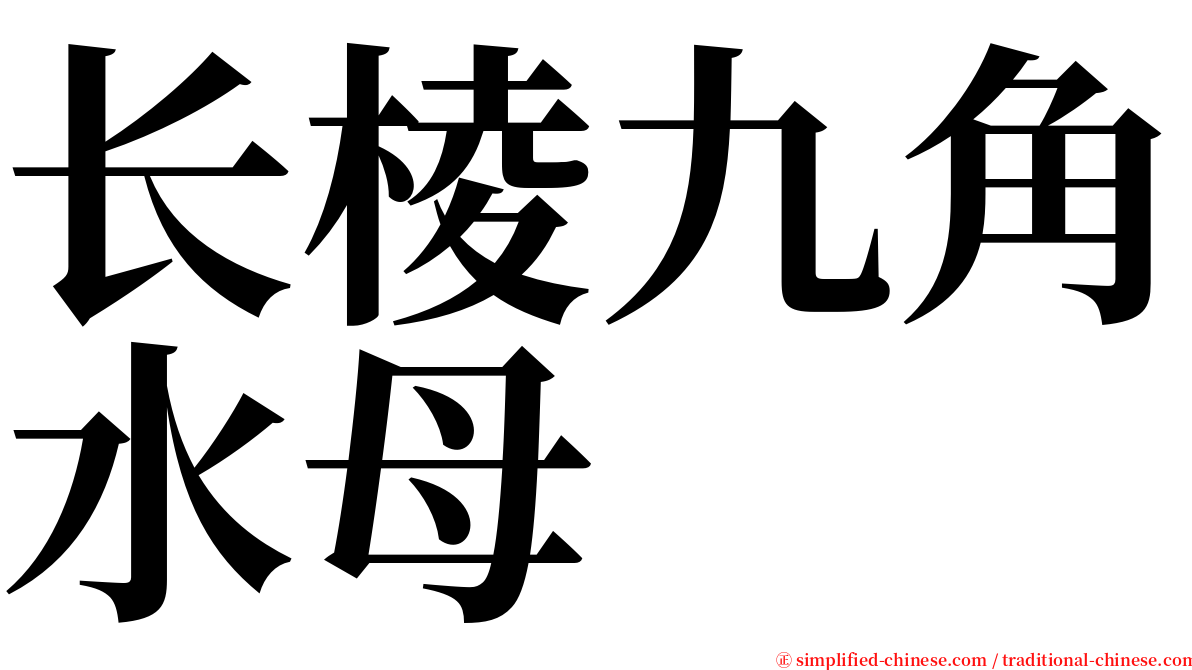 长棱九角水母 serif font