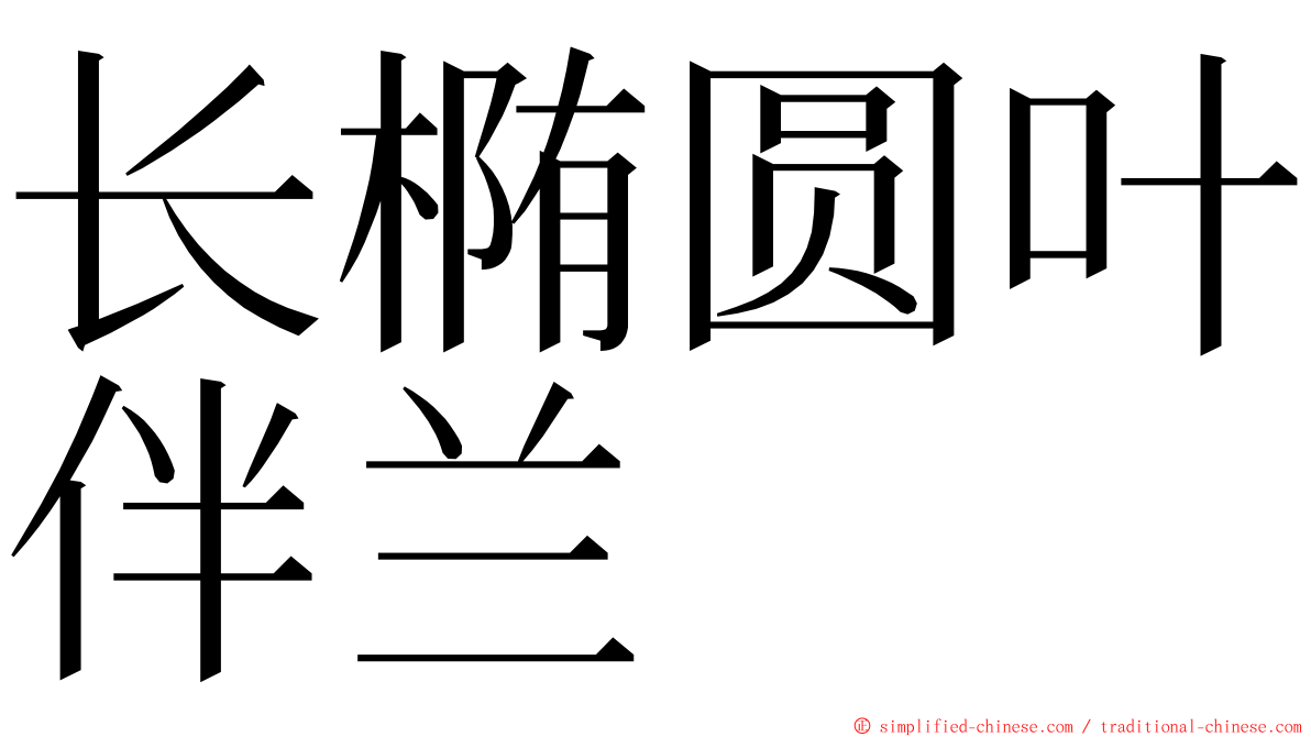 长椭圆叶伴兰 ming font