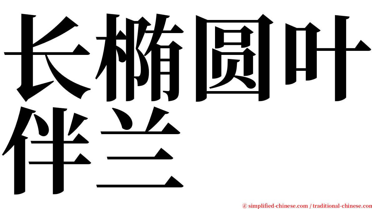 长椭圆叶伴兰 serif font