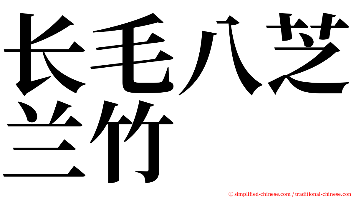 长毛八芝兰竹 serif font