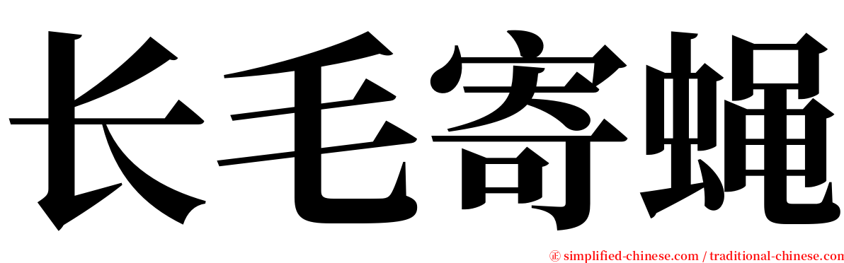 长毛寄蝇 serif font