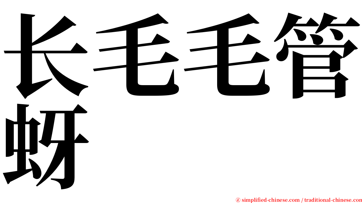 长毛毛管蚜 serif font