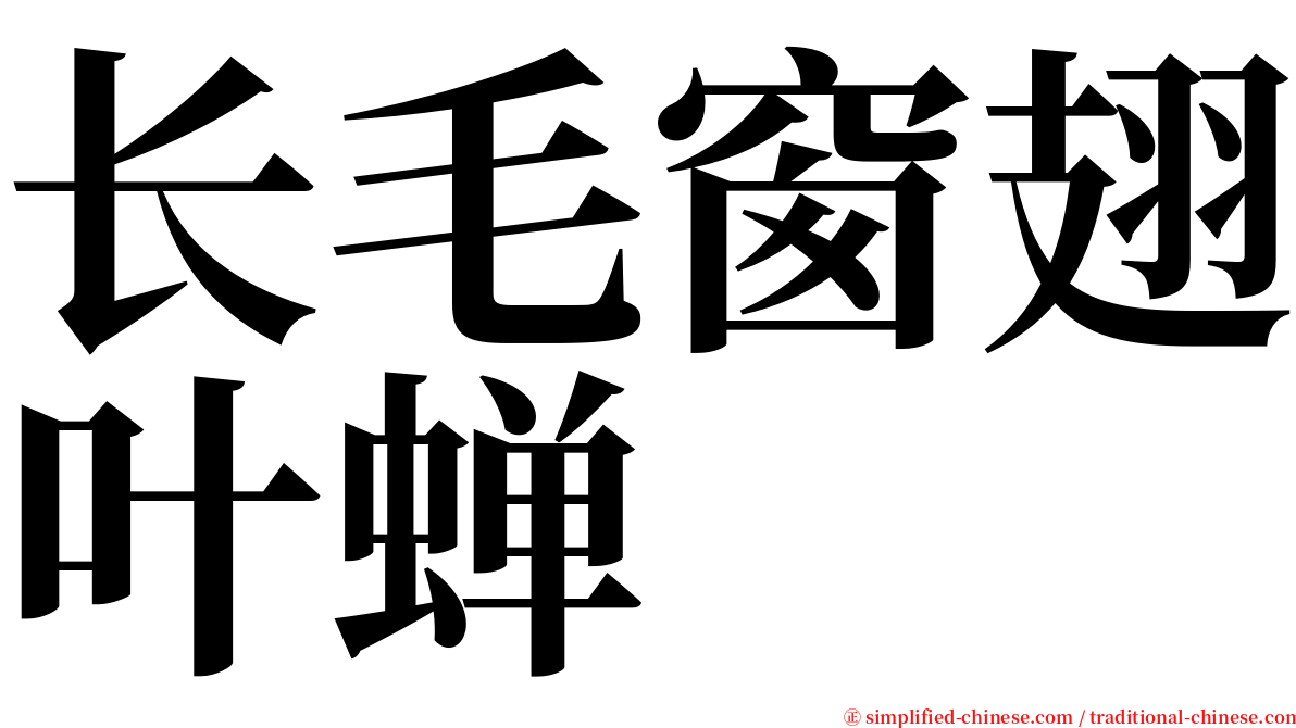 长毛窗翅叶蝉 serif font