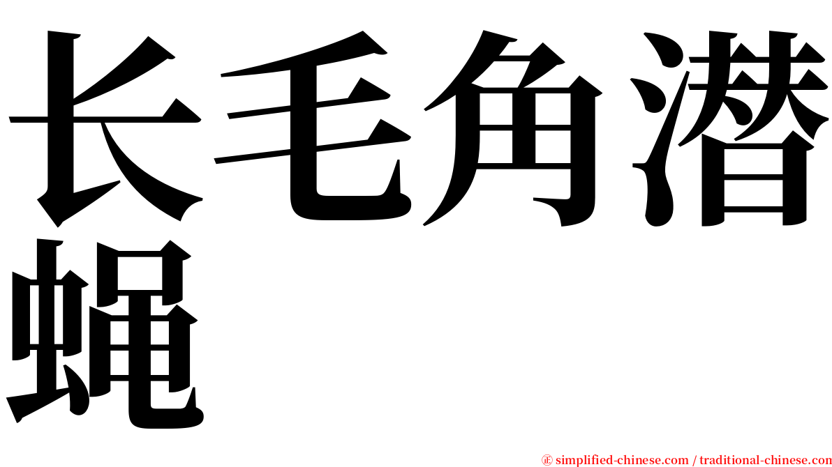 长毛角潜蝇 serif font