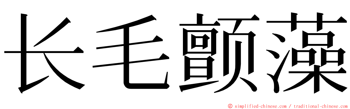 长毛颤藻 ming font