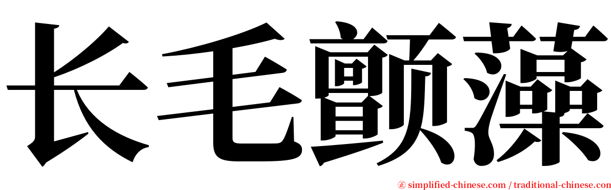 长毛颤藻 serif font