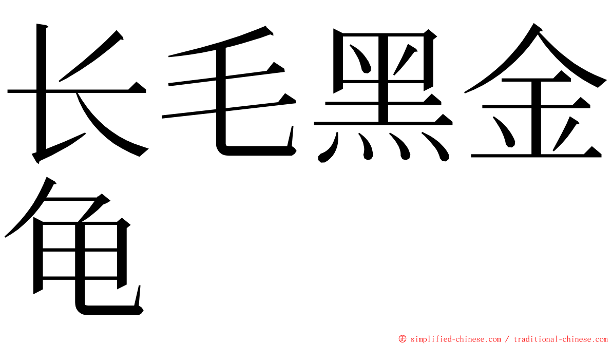 长毛黑金龟 ming font