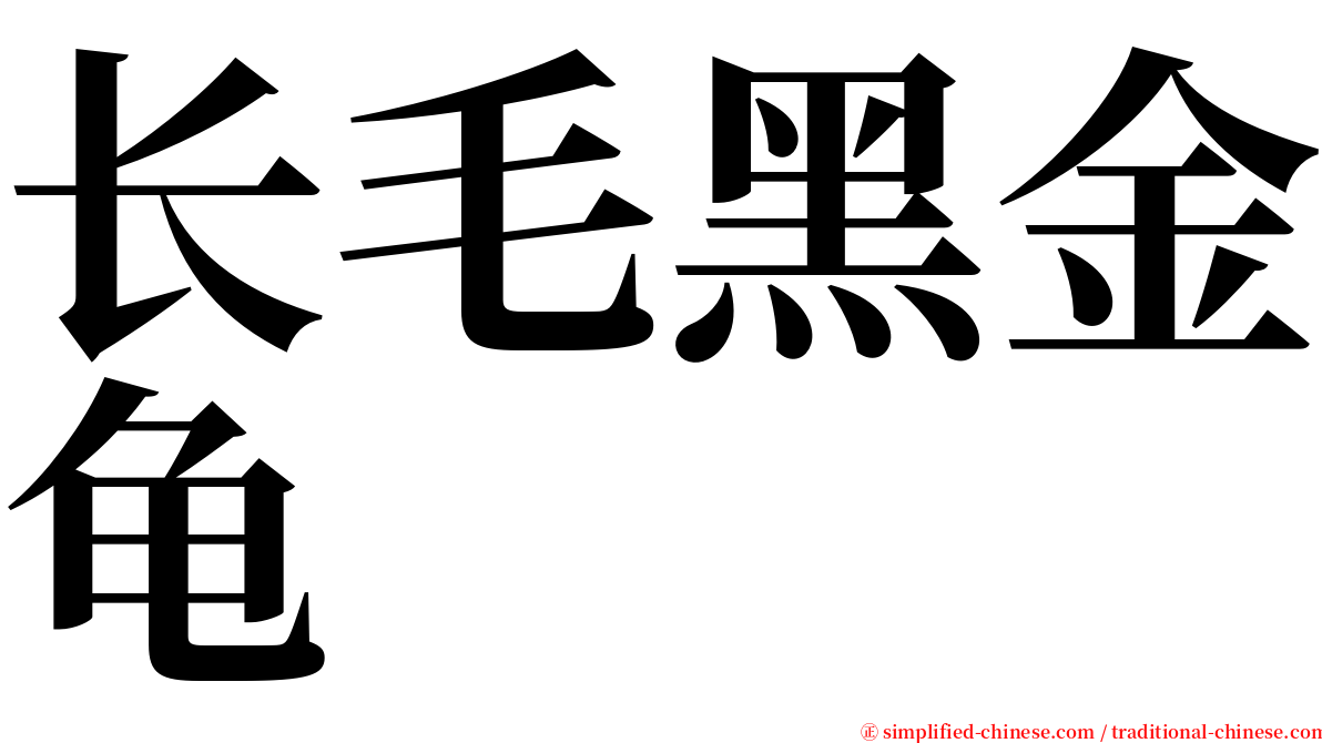 长毛黑金龟 serif font