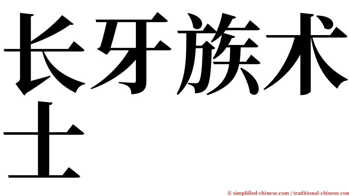 长牙族术士 serif font