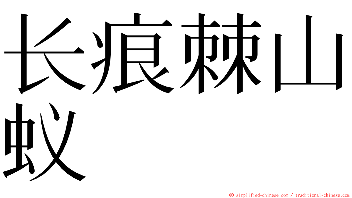 长痕棘山蚁 ming font