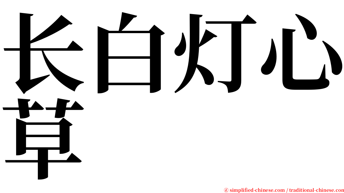 长白灯心草 serif font