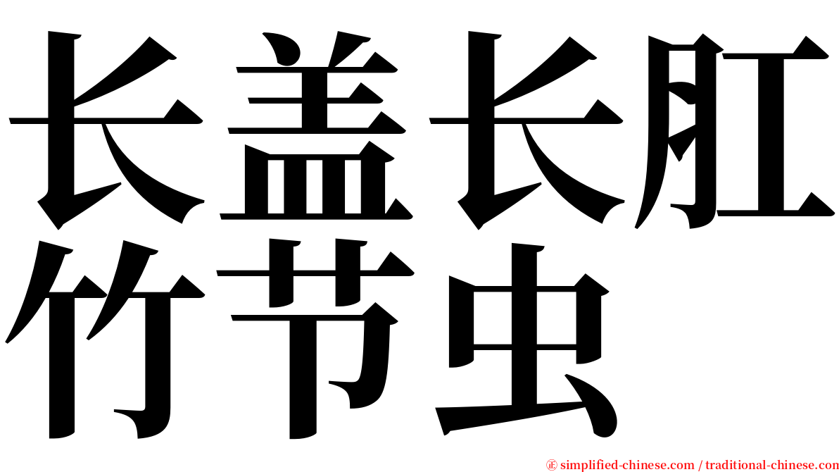 长盖长肛竹节虫 serif font