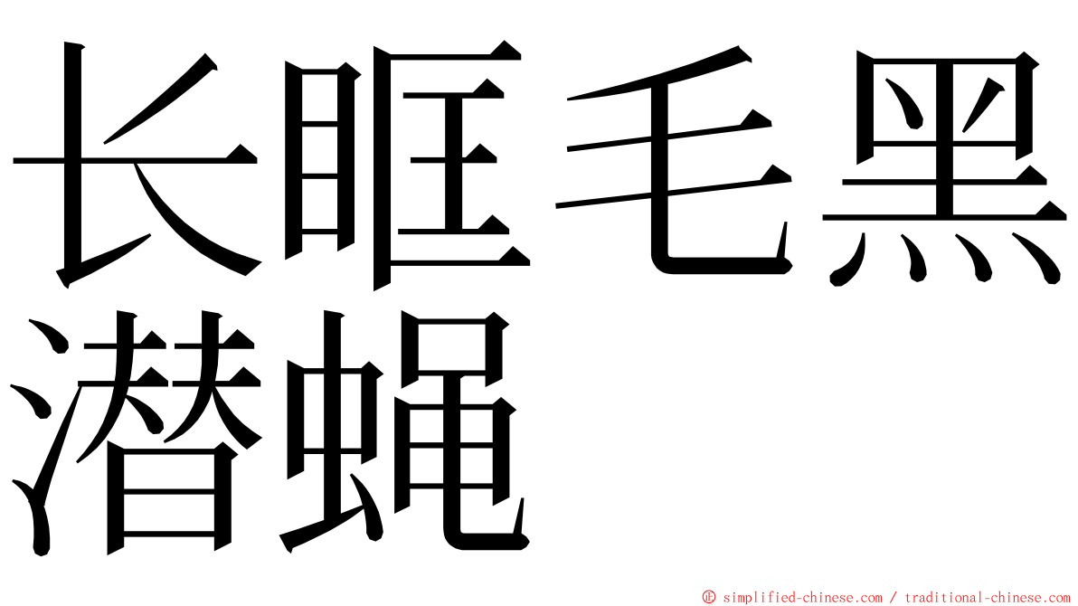 长眶毛黑潜蝇 ming font