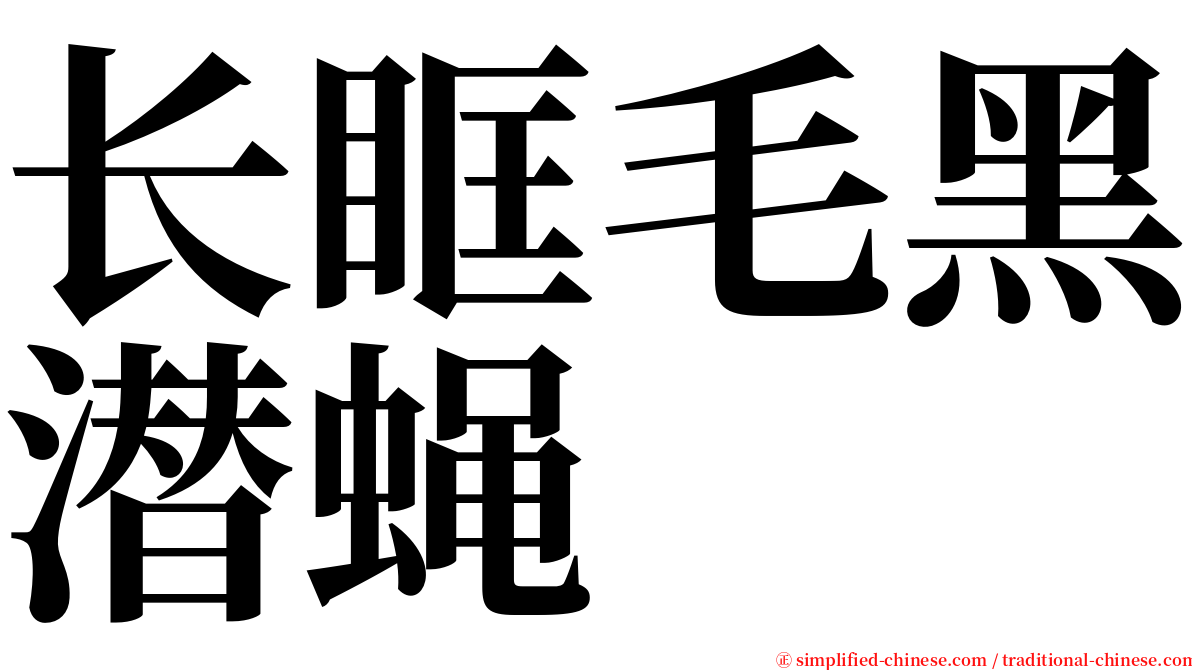 长眶毛黑潜蝇 serif font