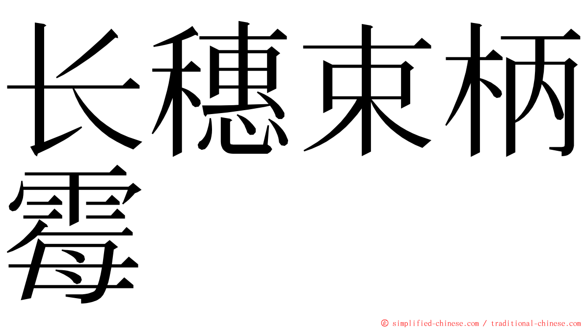 长穗束柄霉 ming font