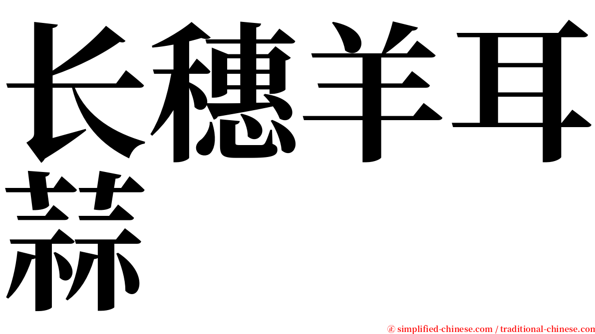 长穗羊耳蒜 serif font