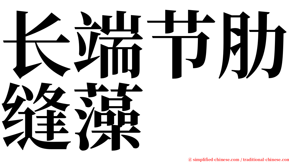 长端节肋缝藻 serif font