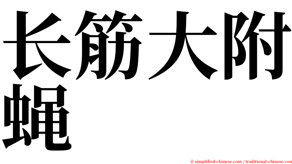 长筋大附蝇 serif font