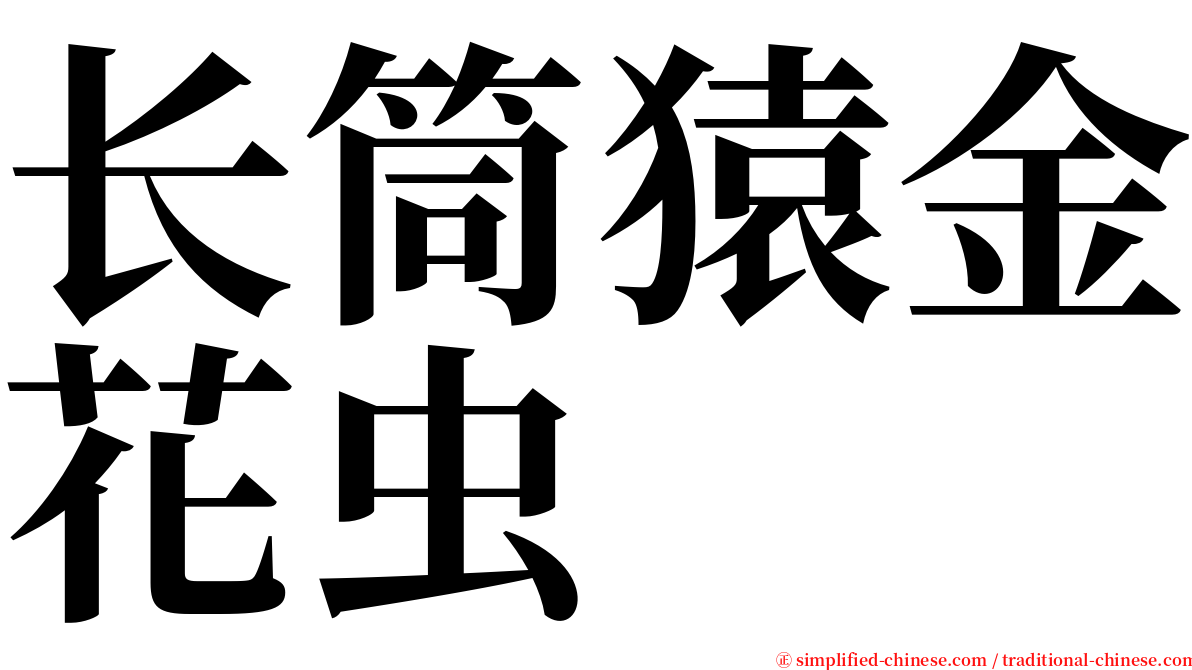 长筒猿金花虫 serif font