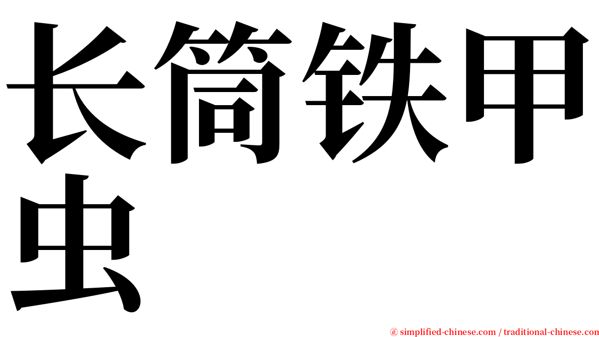 长筒铁甲虫 serif font