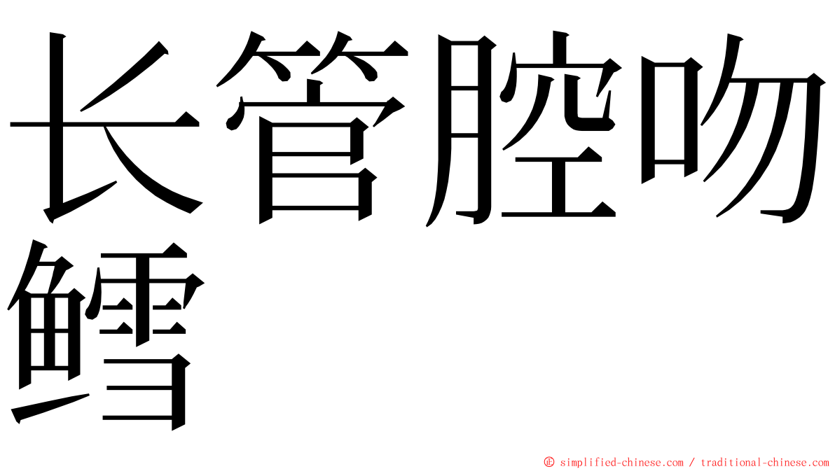 长管腔吻鳕 ming font