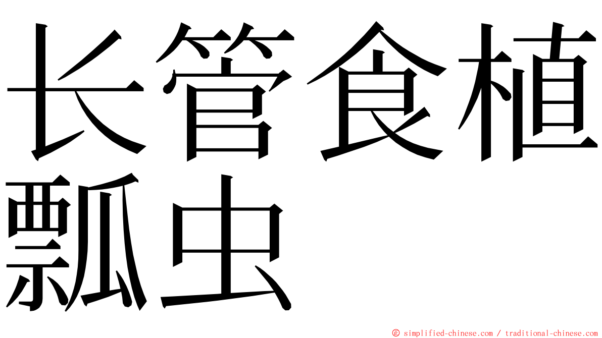 长管食植瓢虫 ming font