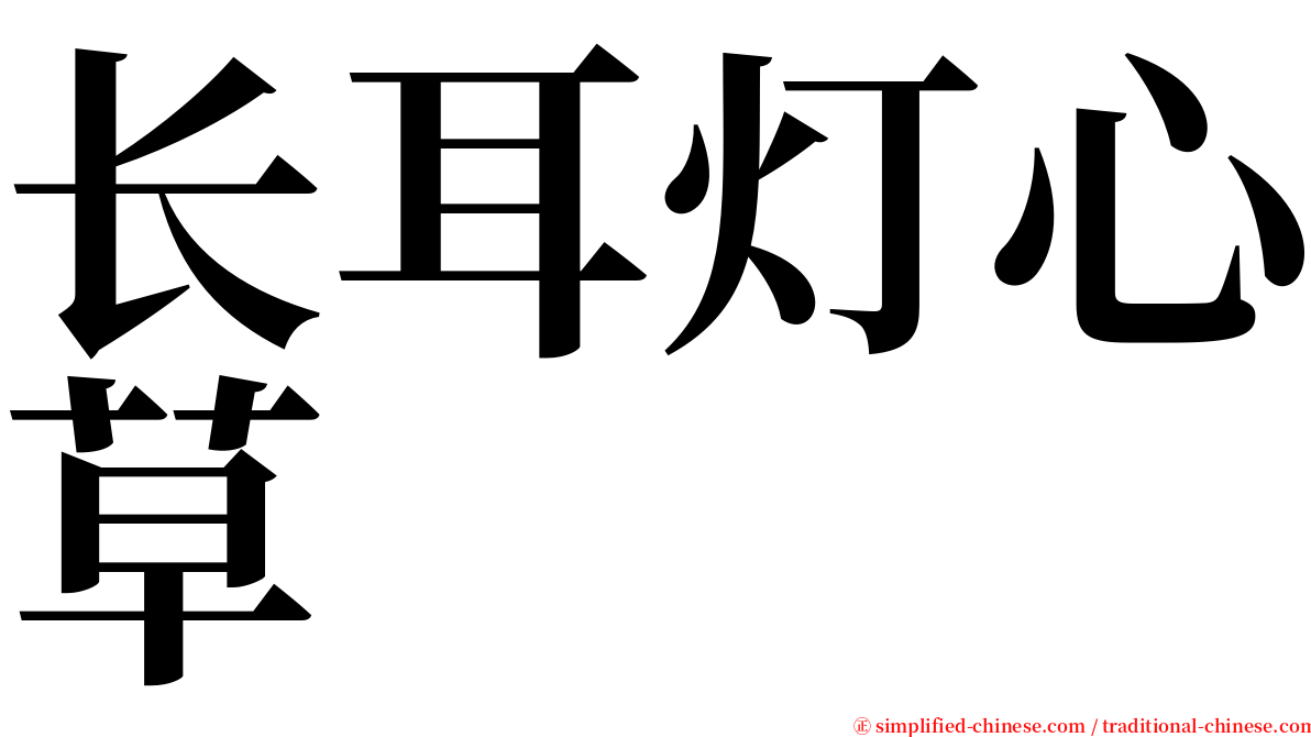 长耳灯心草 serif font