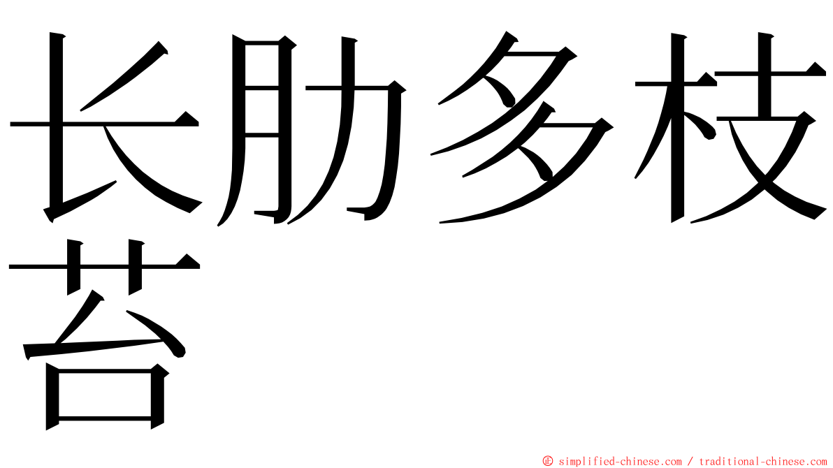 长肋多枝苔 ming font