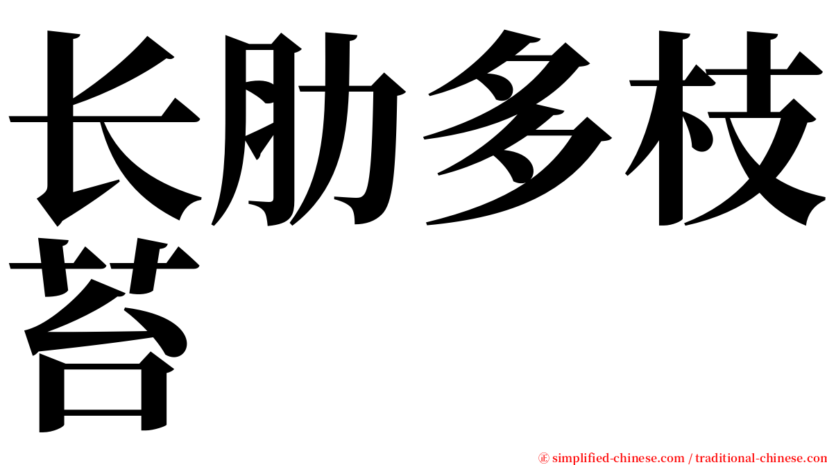 长肋多枝苔 serif font